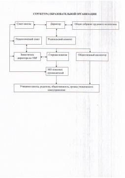 Структура образовательной организации